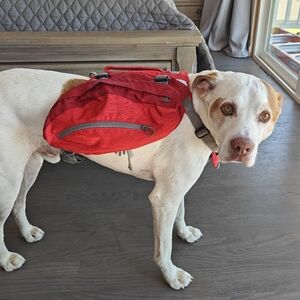 Kurgo | Doggie Backpack